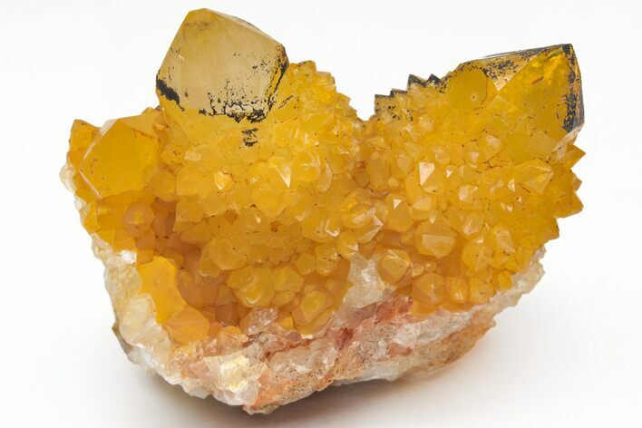 Sunshine Cactus Quartz Crystal Cluster - South Africa #212684